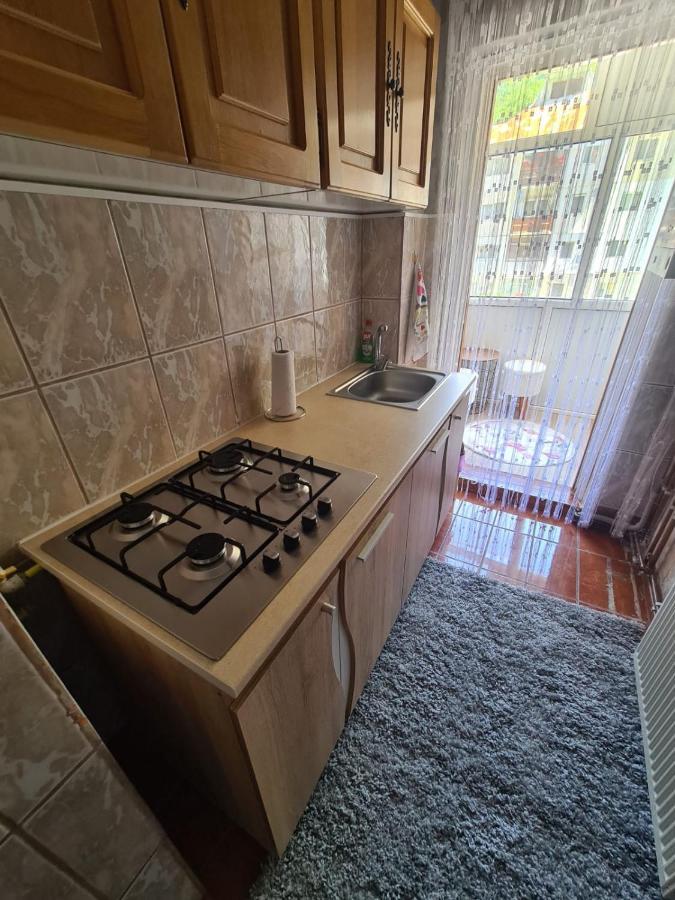 Garsoniera Slanic-Moldova Apartment Exterior foto